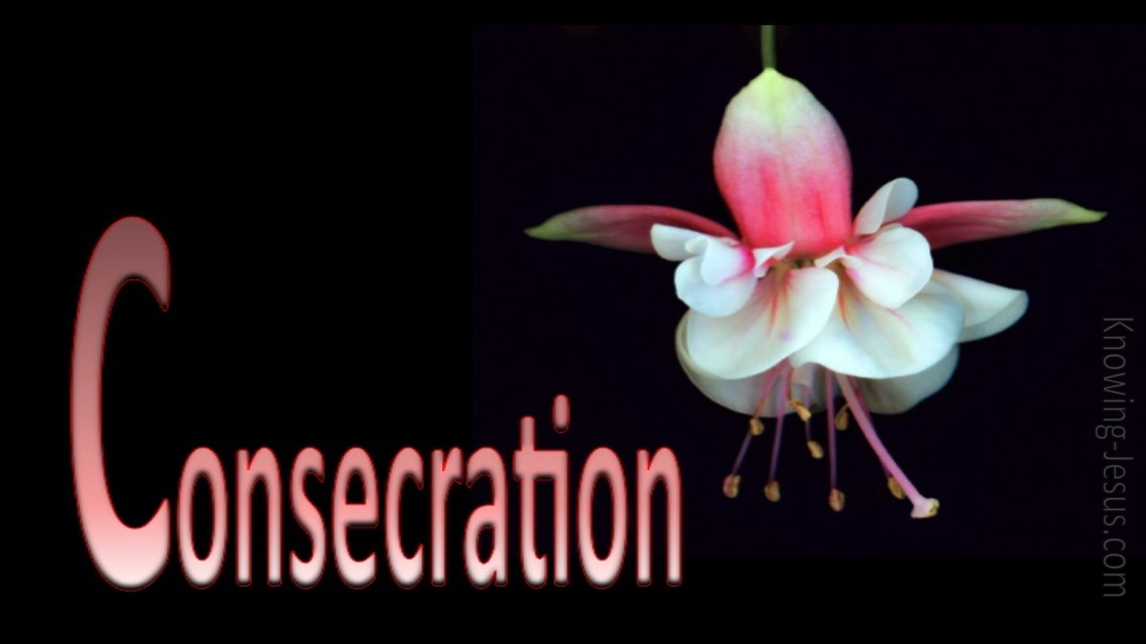 True Consecration (devotional) (white)